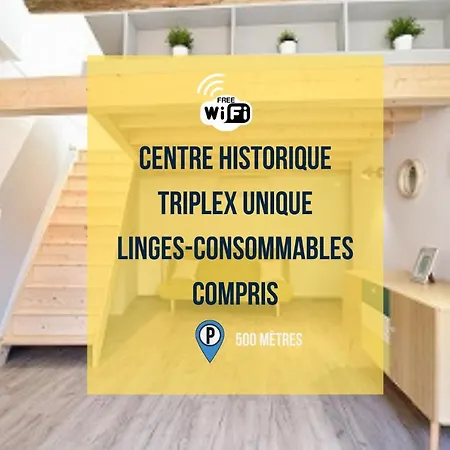 Succes - Tres Beau Duplex Dans Le Coeur De La D'arles Arles
